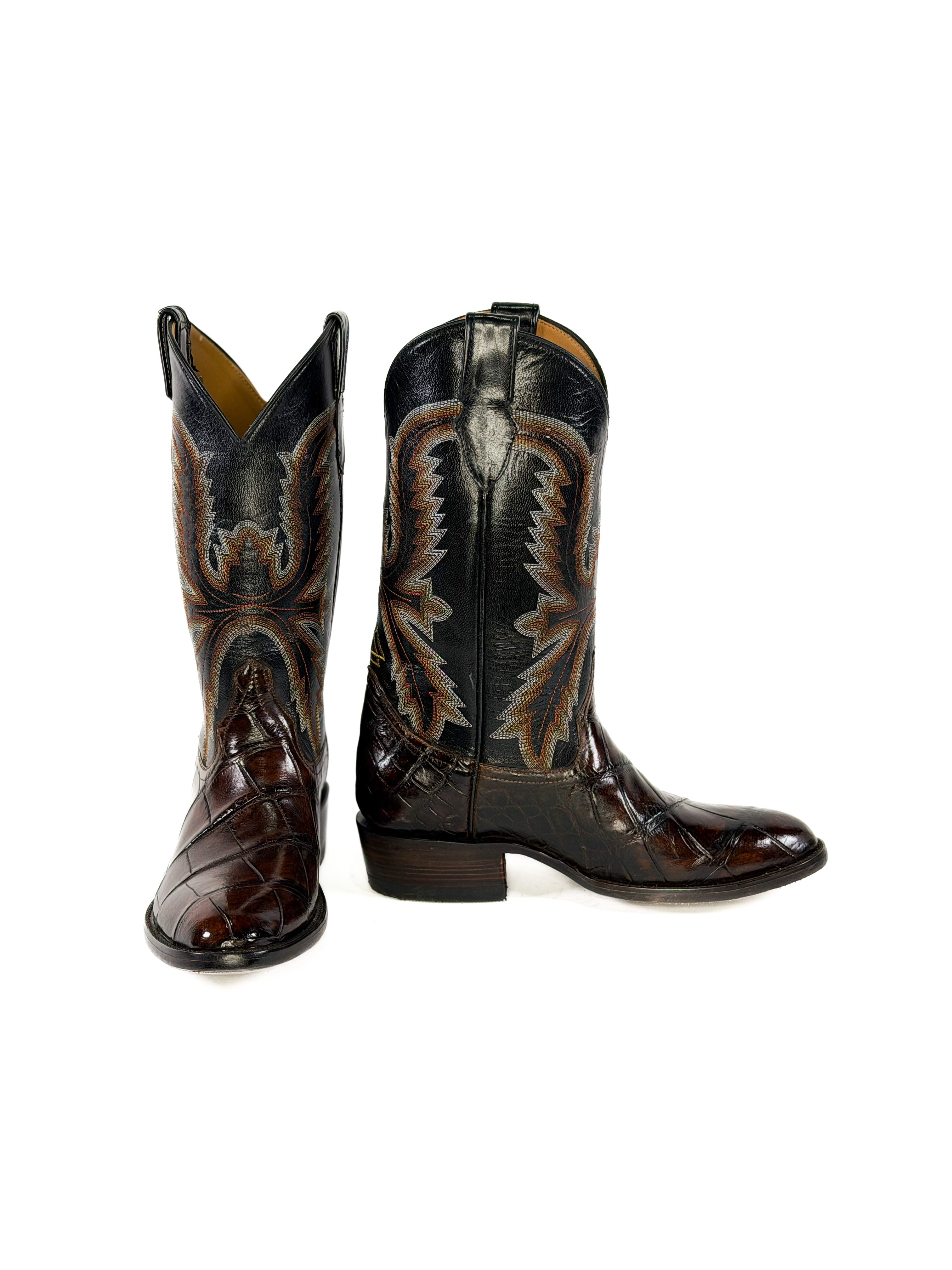 American Alligator-Copperfire