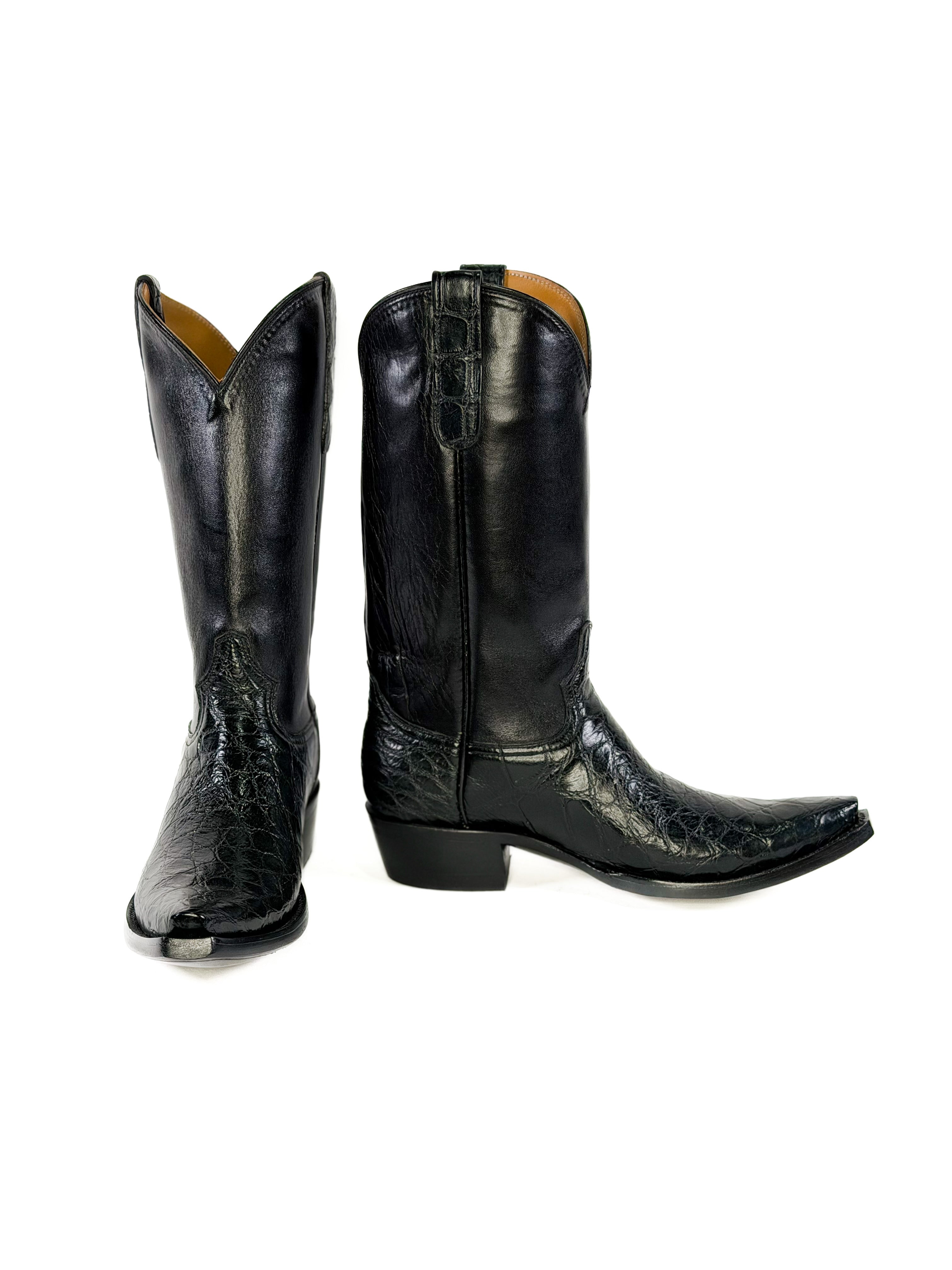 American Alligator- Outlaw