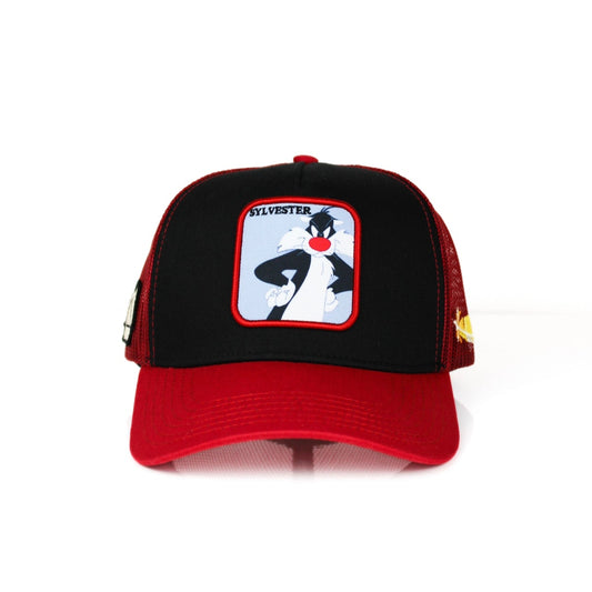 Sylvester Cap