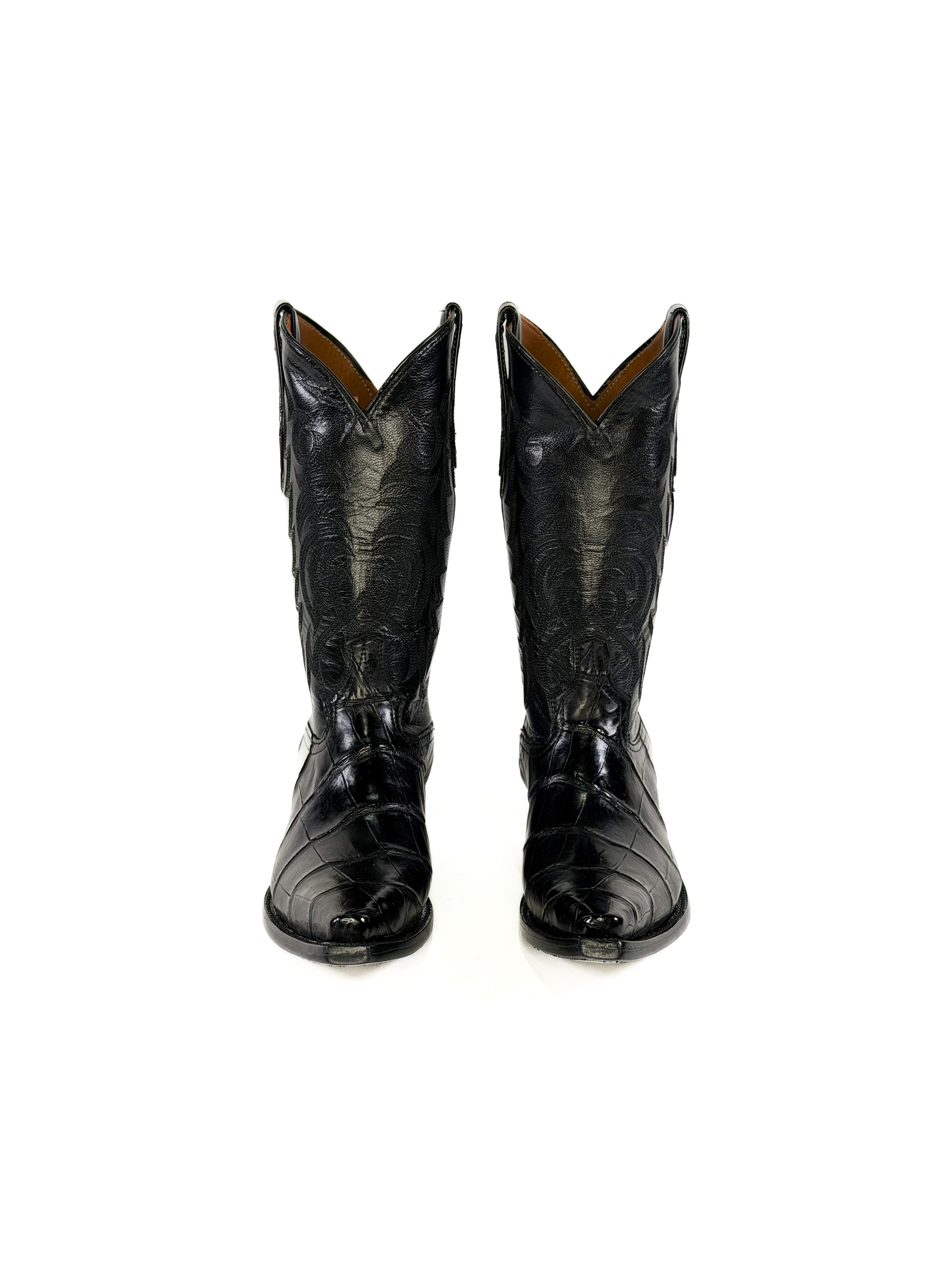 American Alligator- Black Imperial