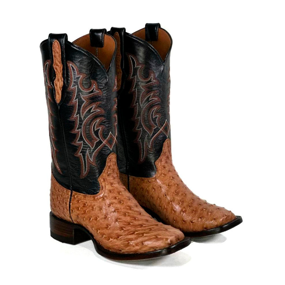 bronzehideboot posterior