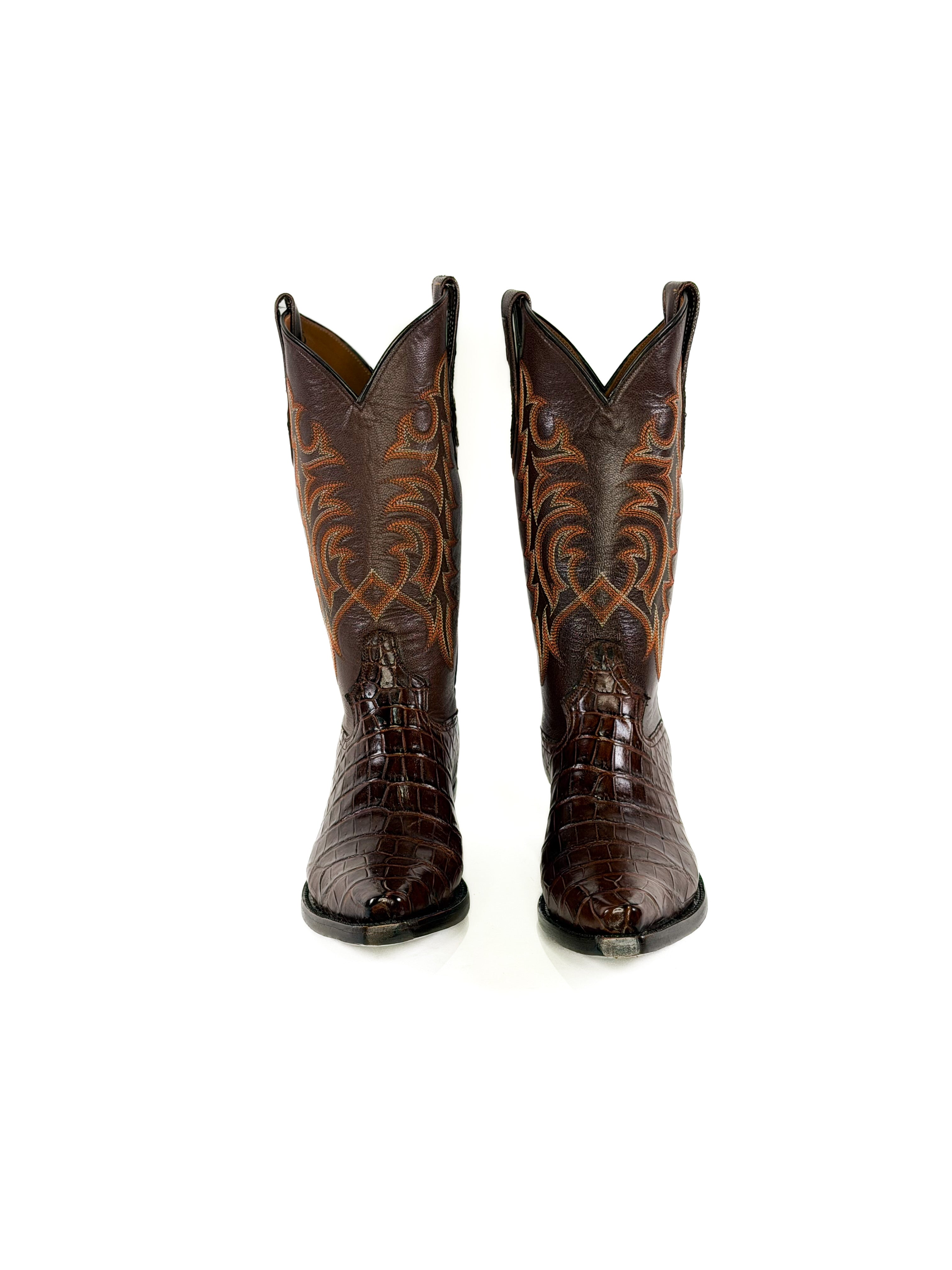 American Alligator- Cimarron