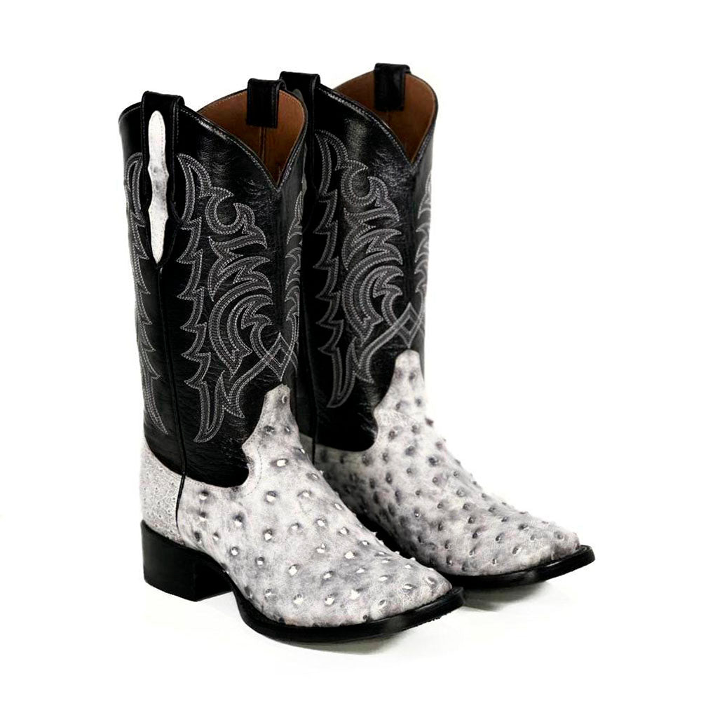 Gray Spur Vista posterior