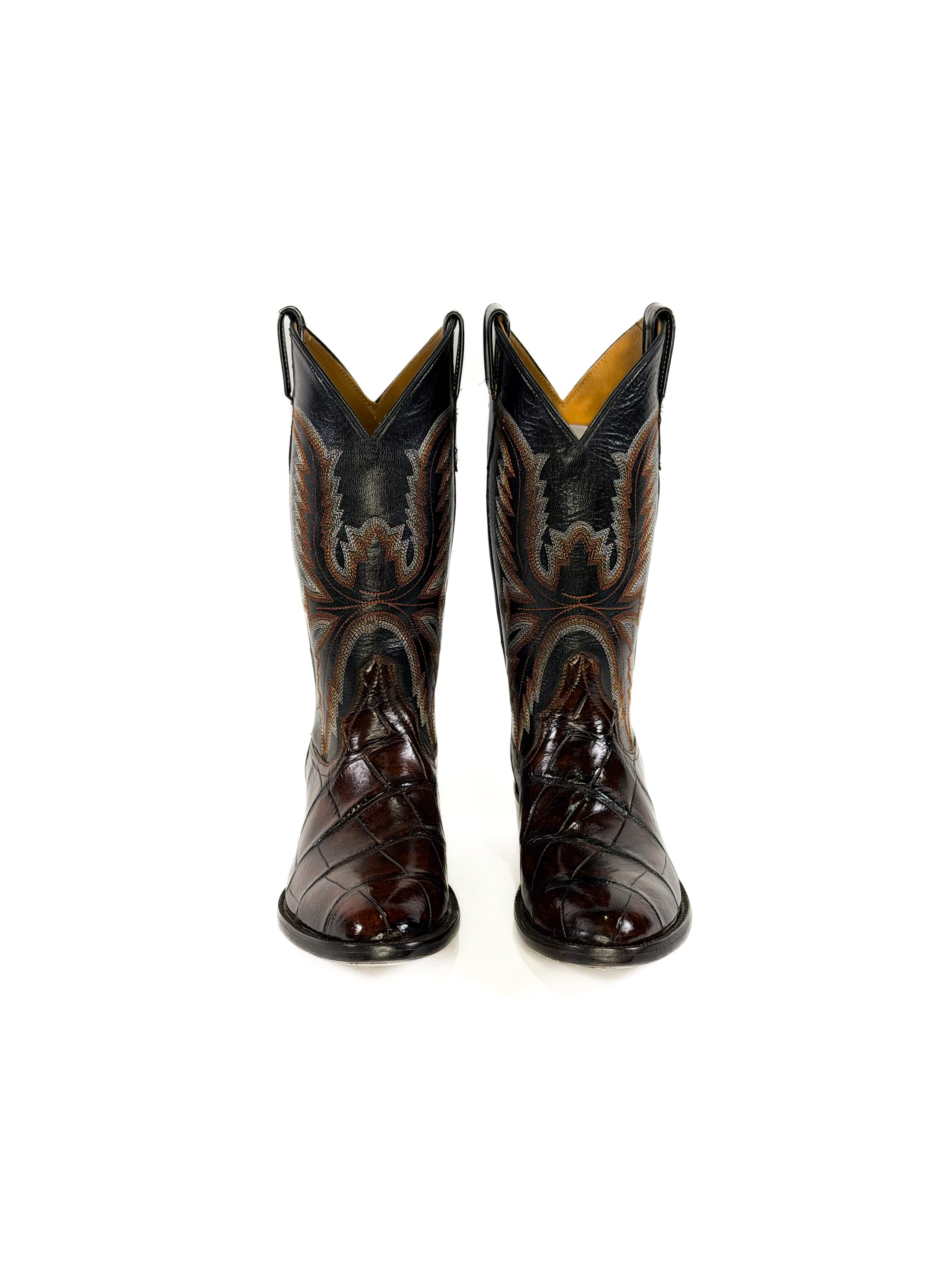 American Alligator-Copperfire