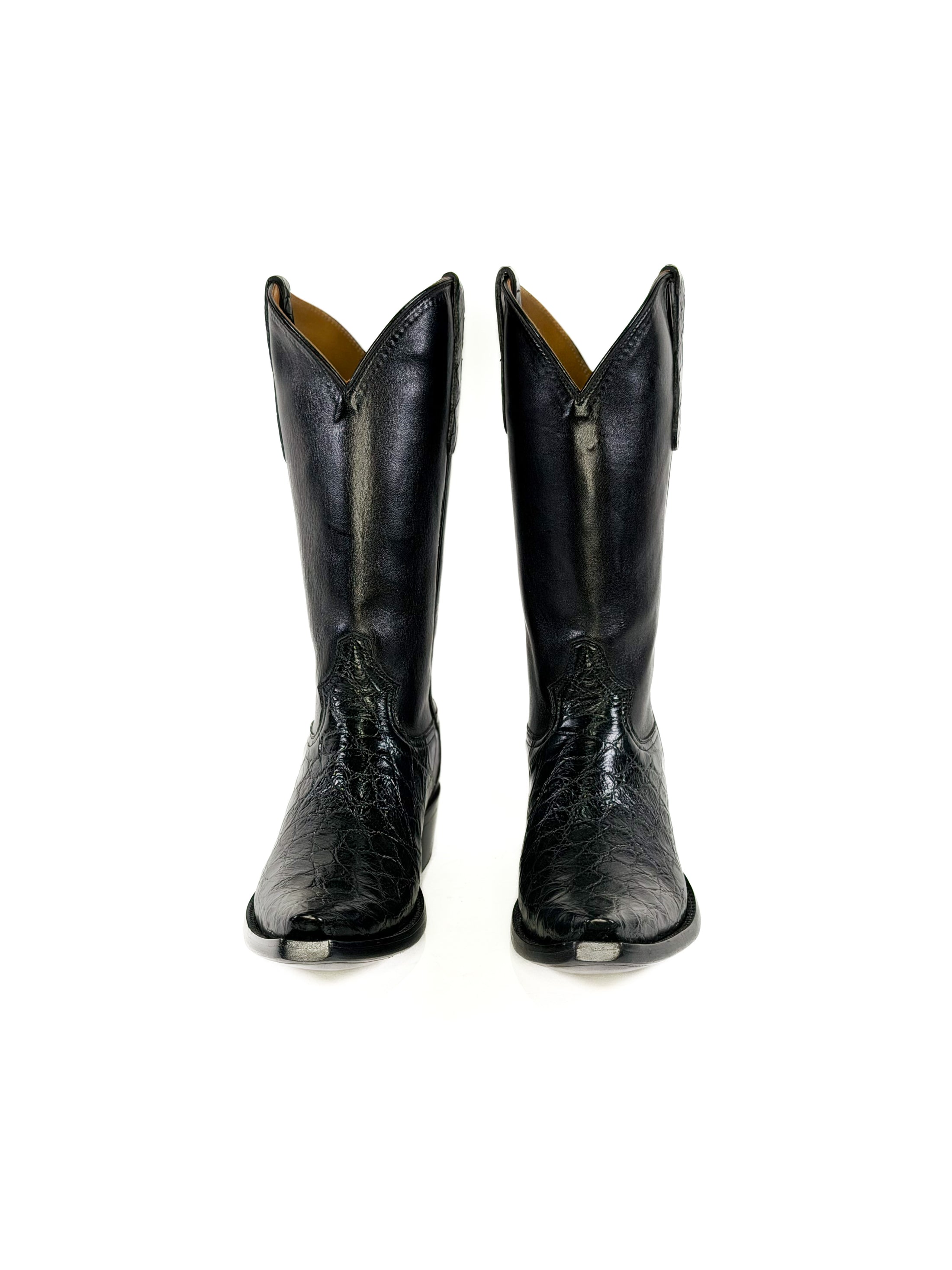 American Alligator- Outlaw