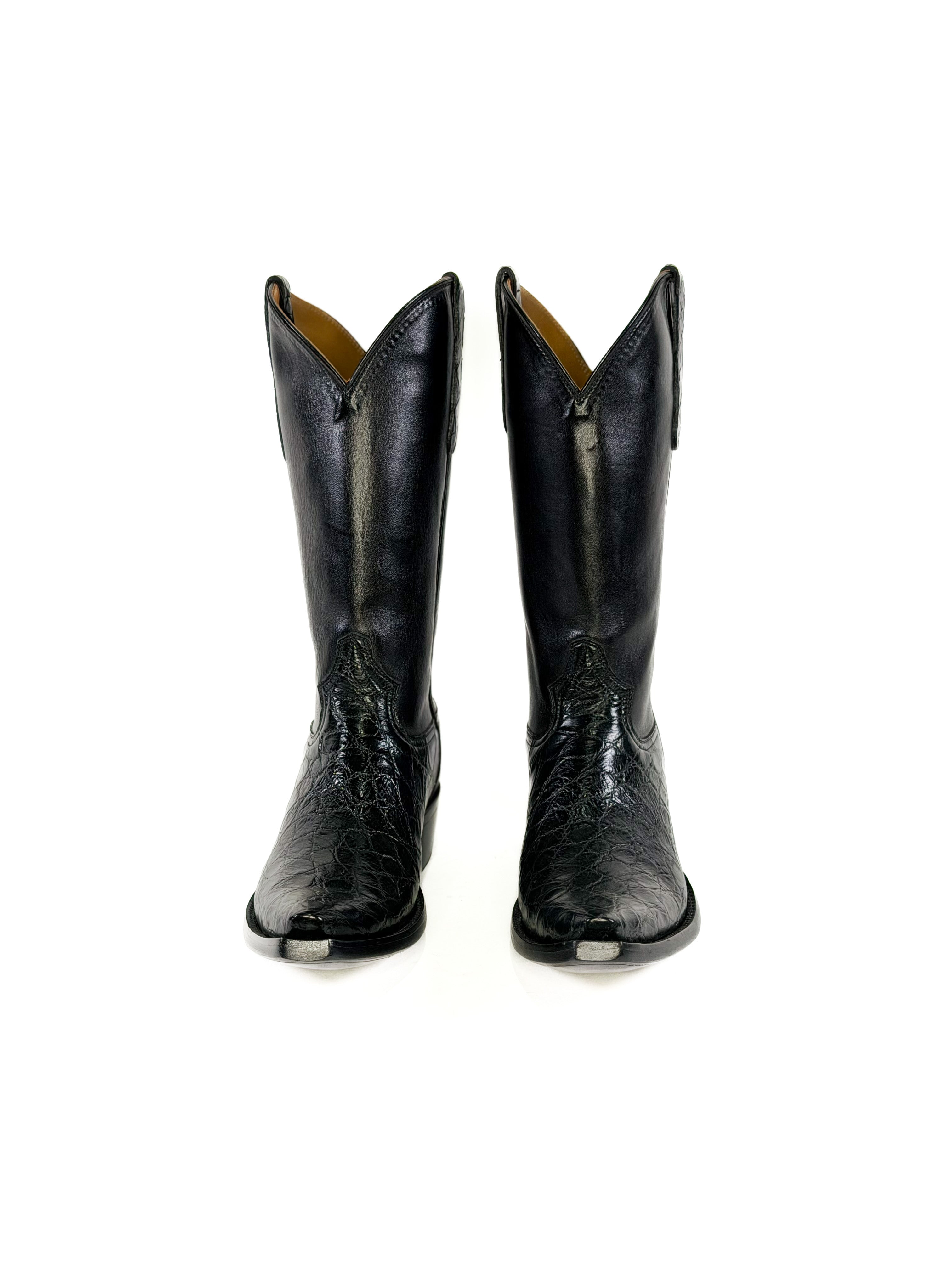 American Alligator- Outlaw