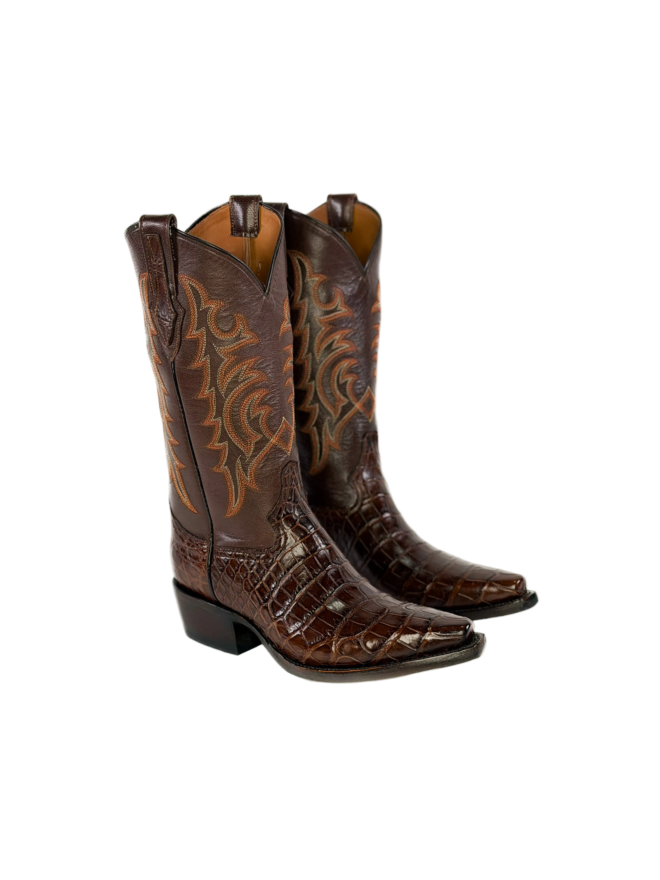 American Alligator- Cimarron