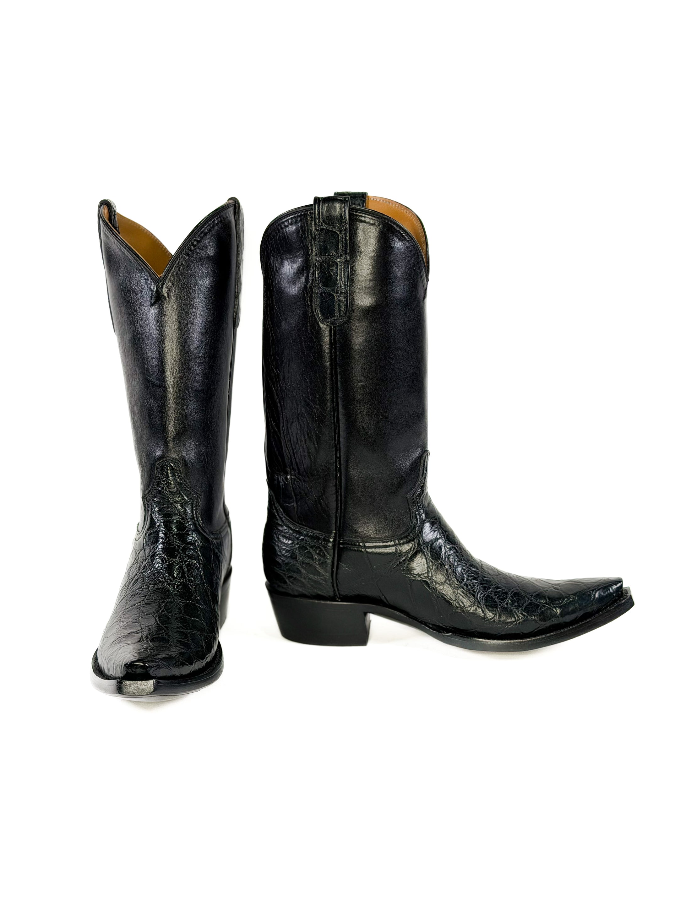 American Alligator- Outlaw