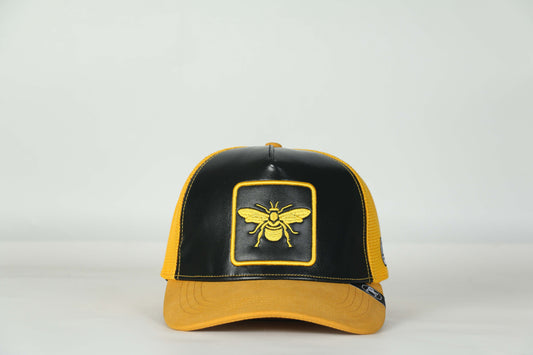 Bee-hat’s