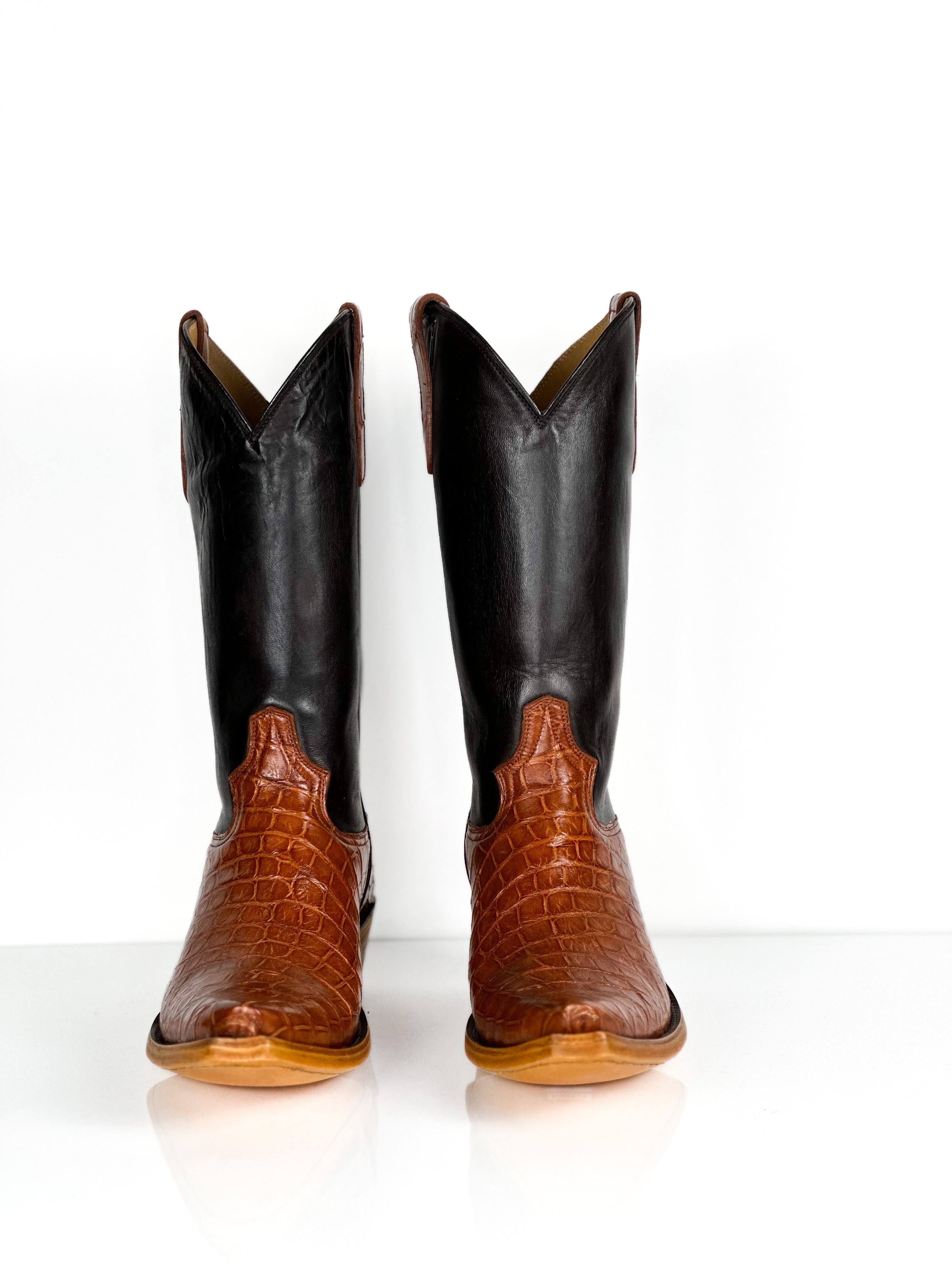 American Alligator - Bronze