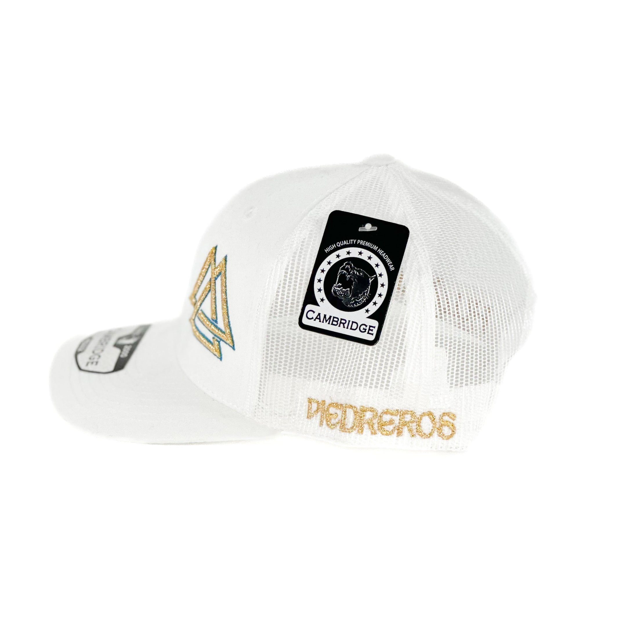 Arctic Gol cap