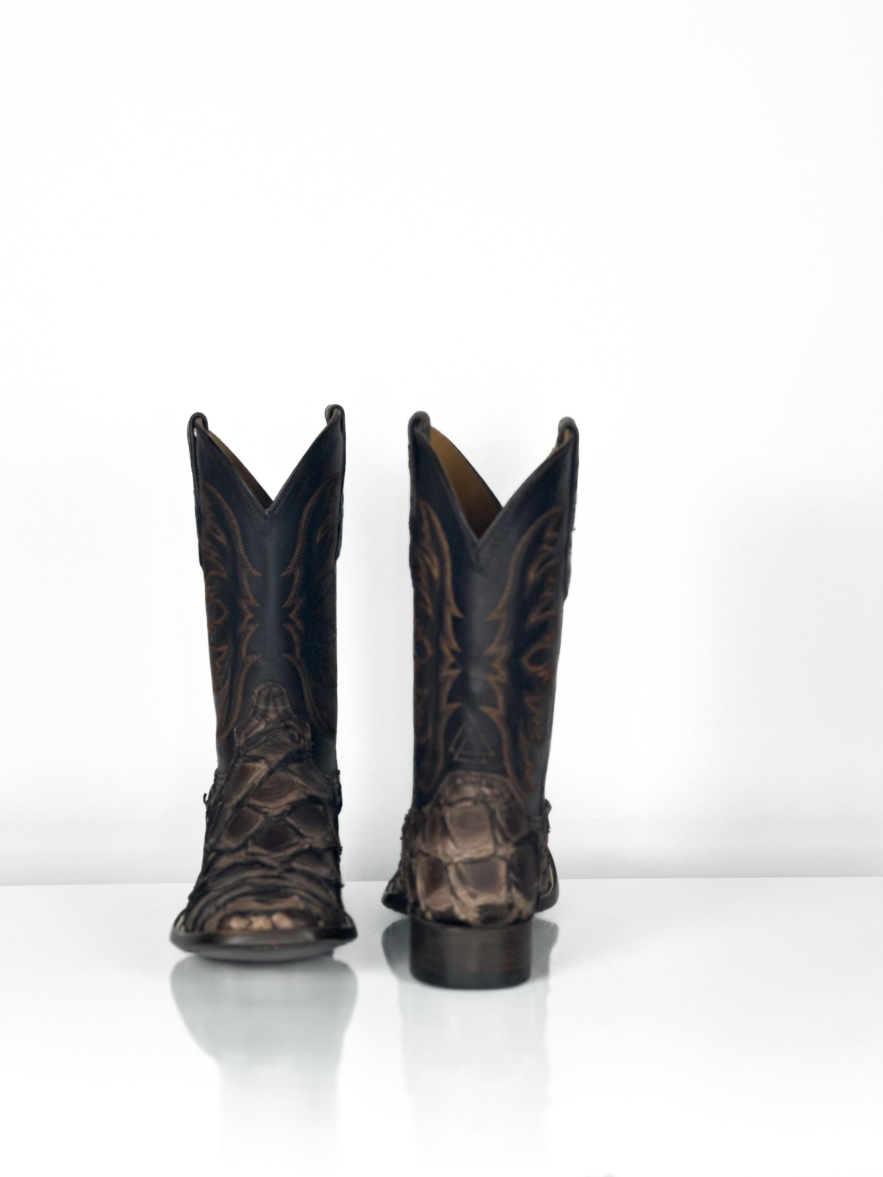 Pirarucu- Taupe fish