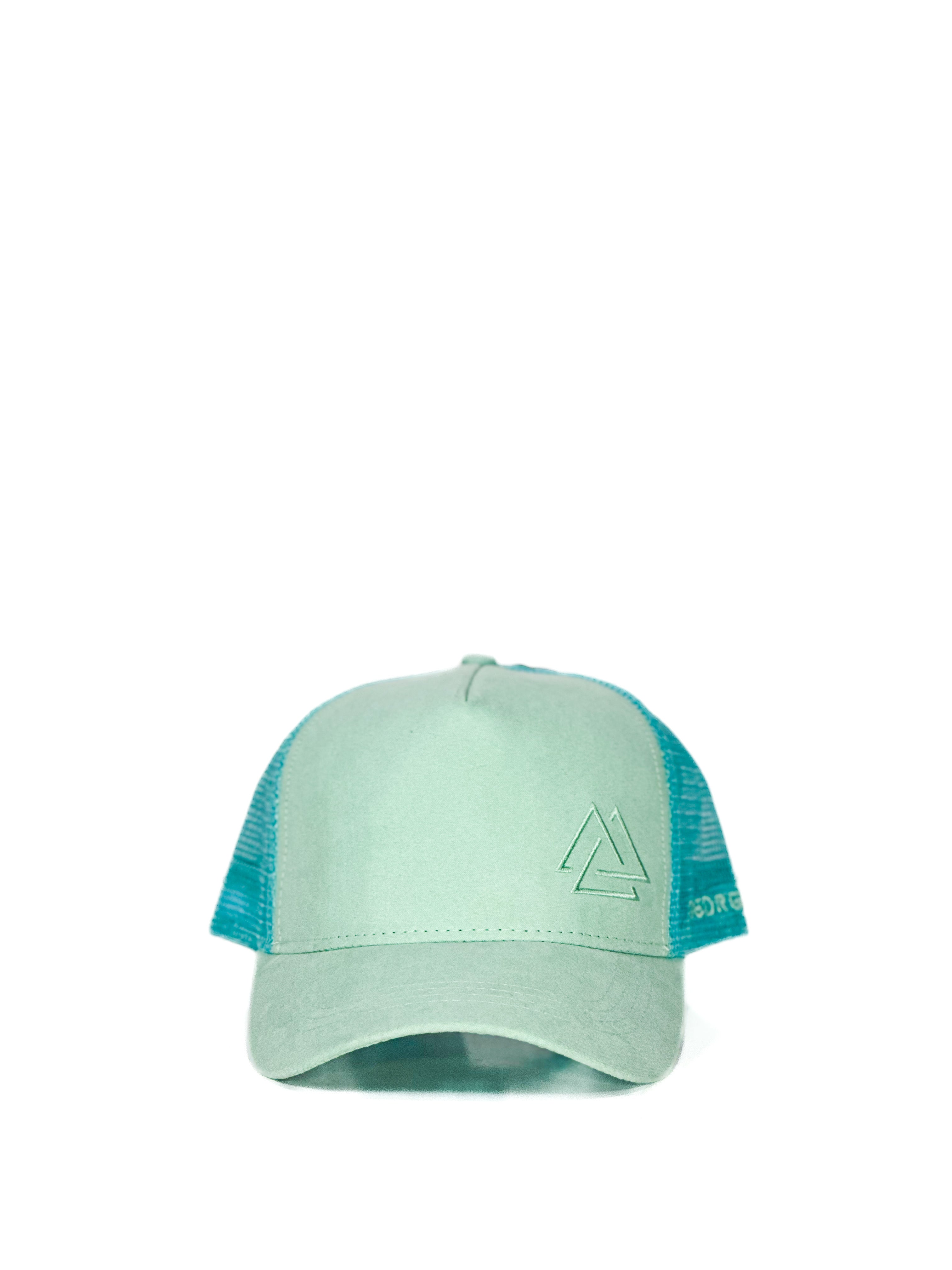 Suede brand cap
