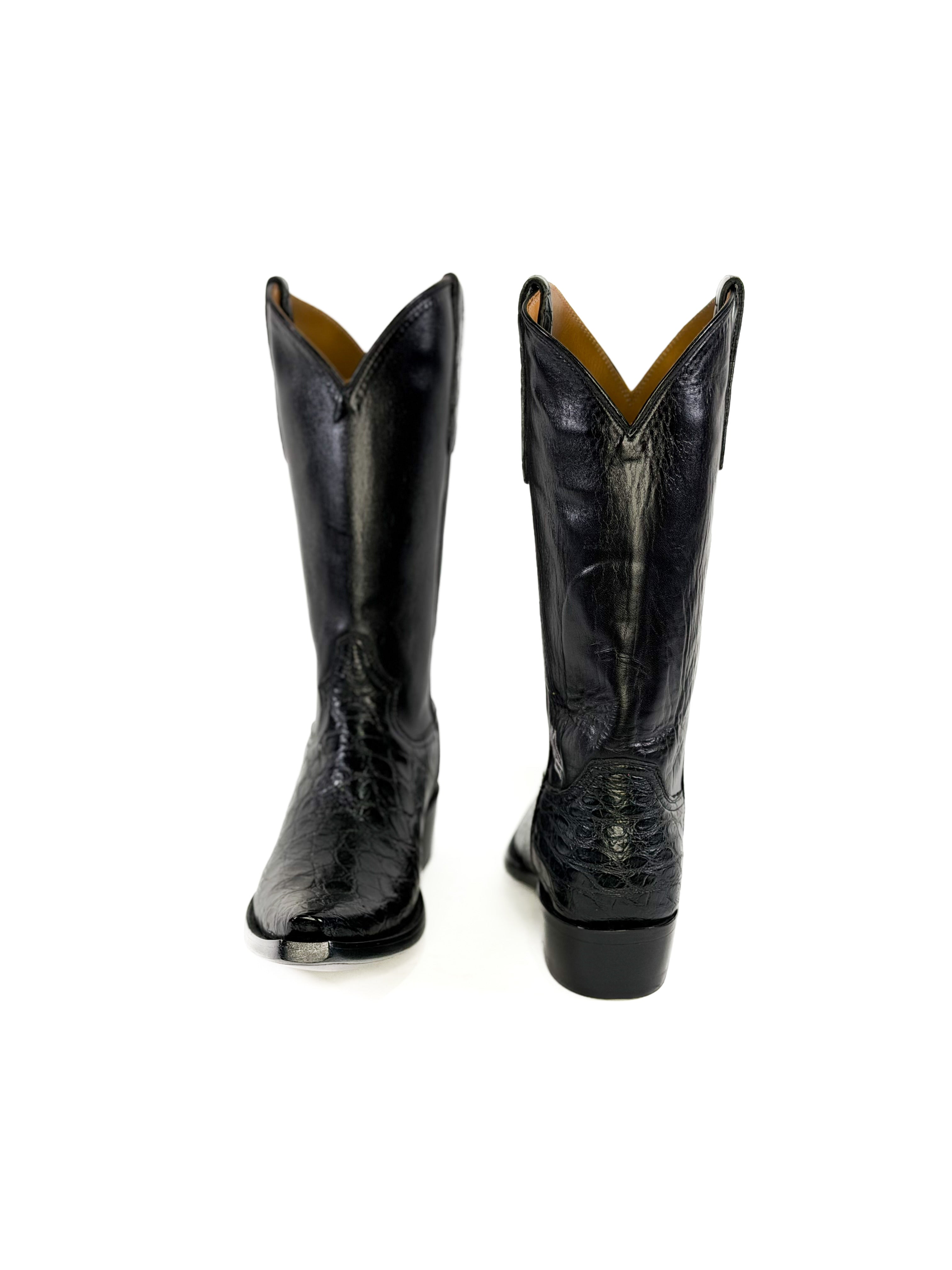 American Alligator- Outlaw