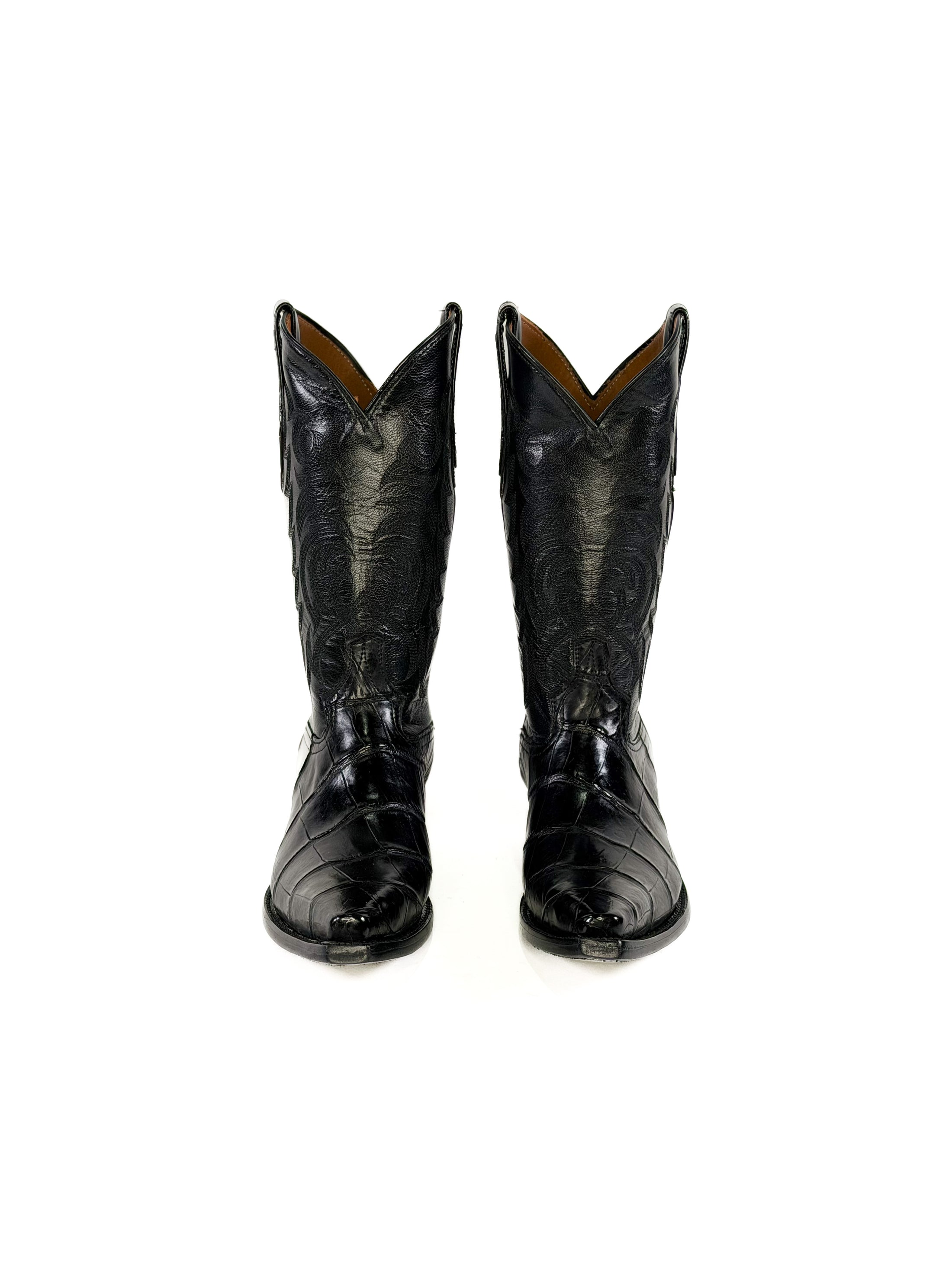 American Alligator- Black Imperial