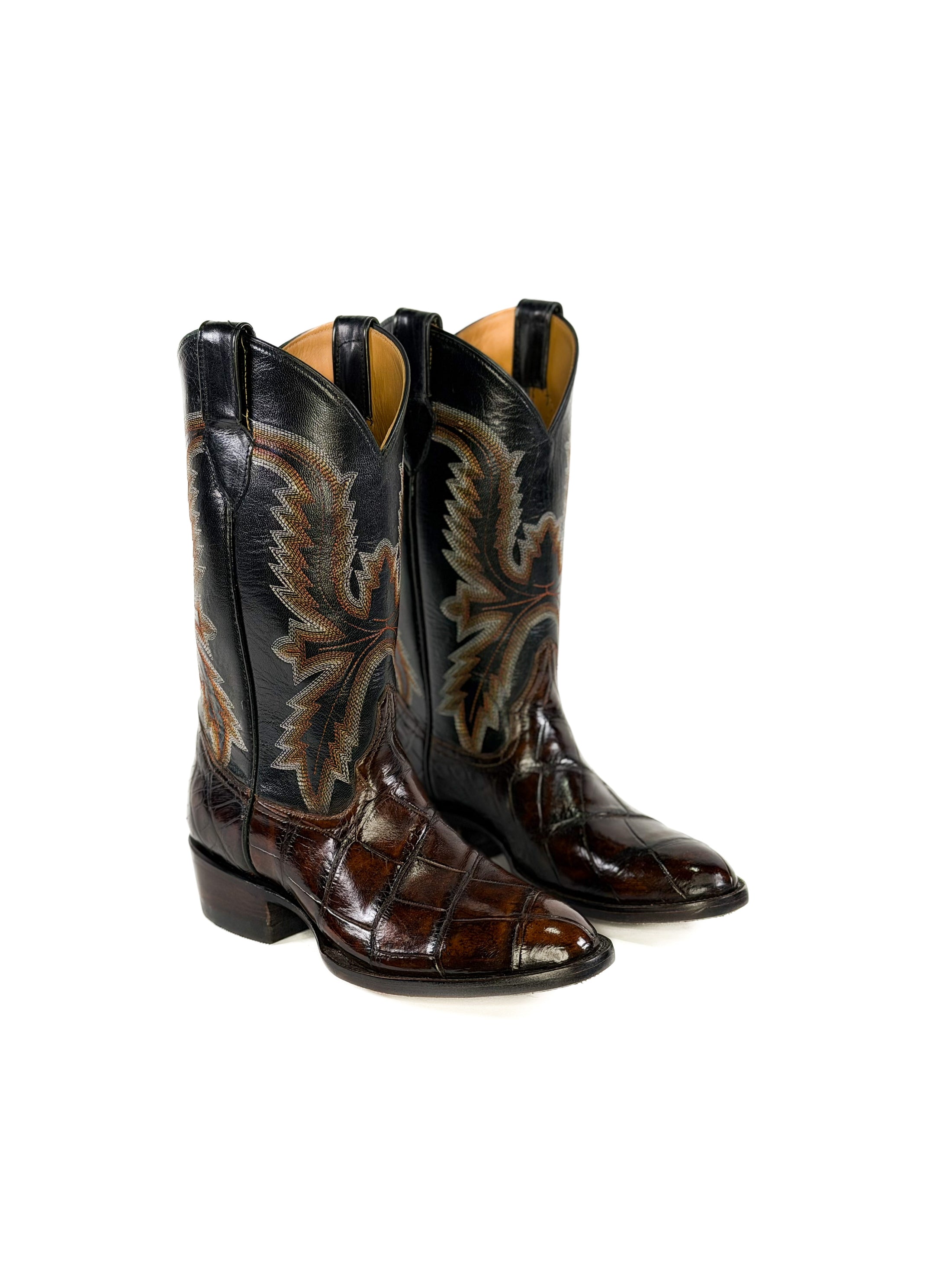 American Alligator-Copperfire