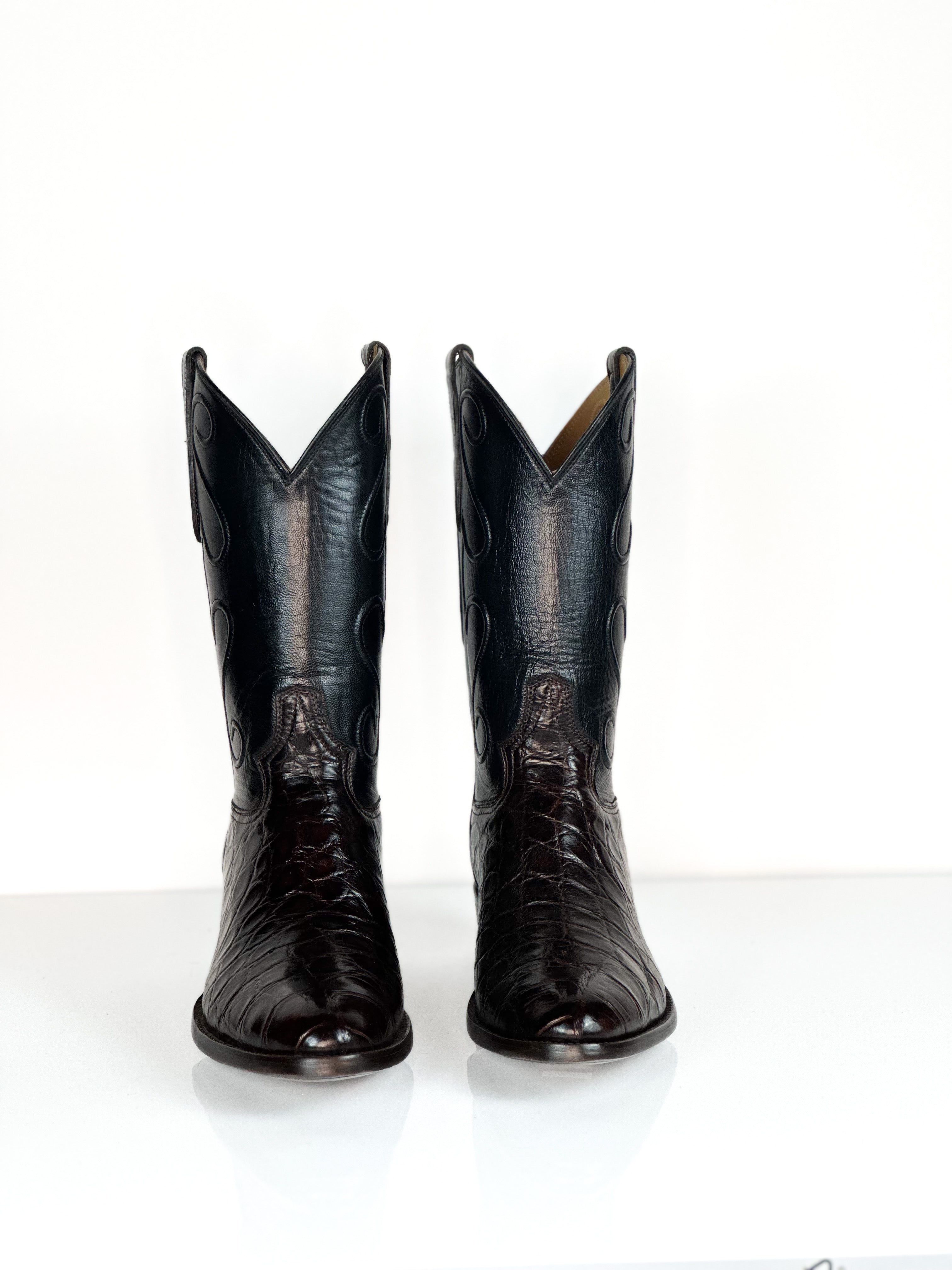 American Alligator - Choco Cord