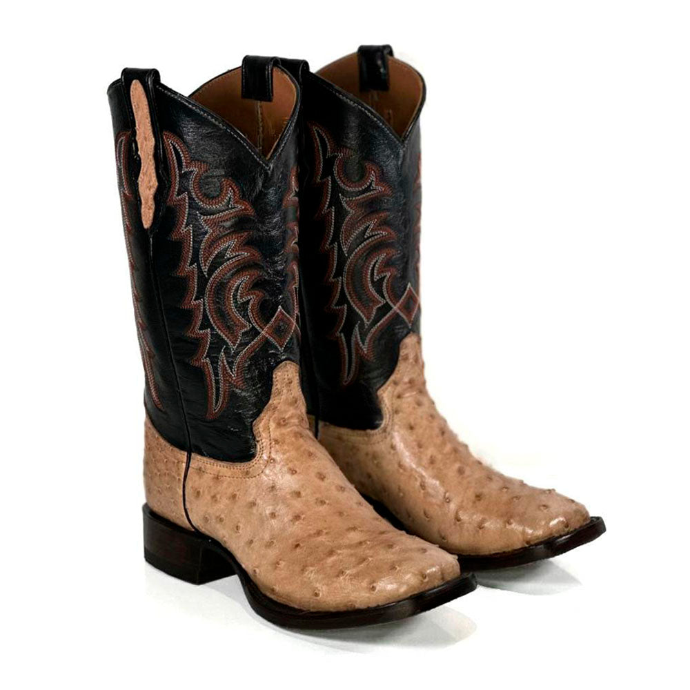 beigespurstampede posterior