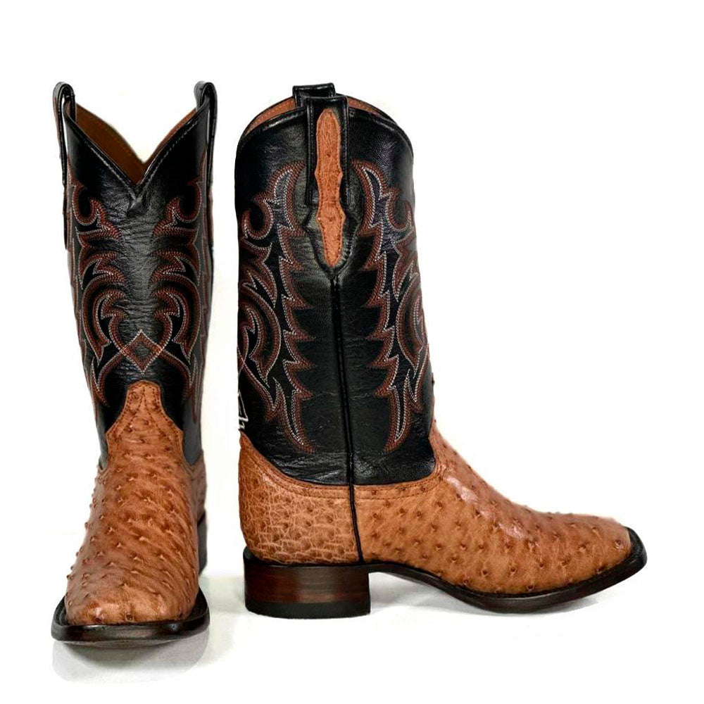 bronzehideboot interior