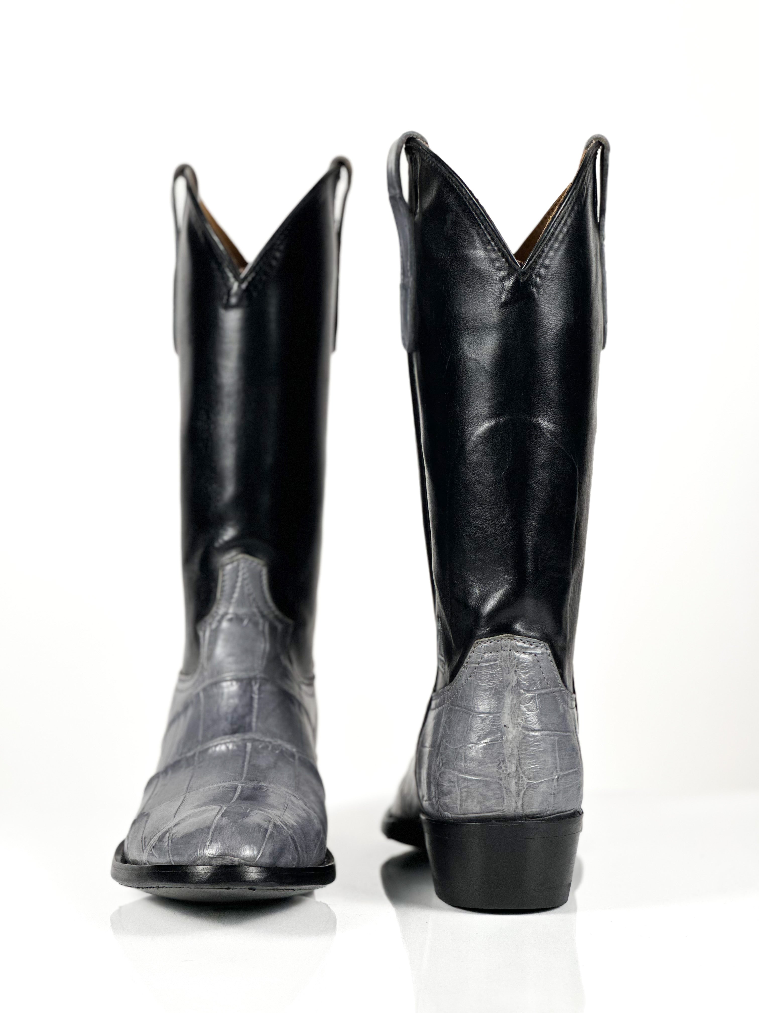 American Alligator - Rhino Gator