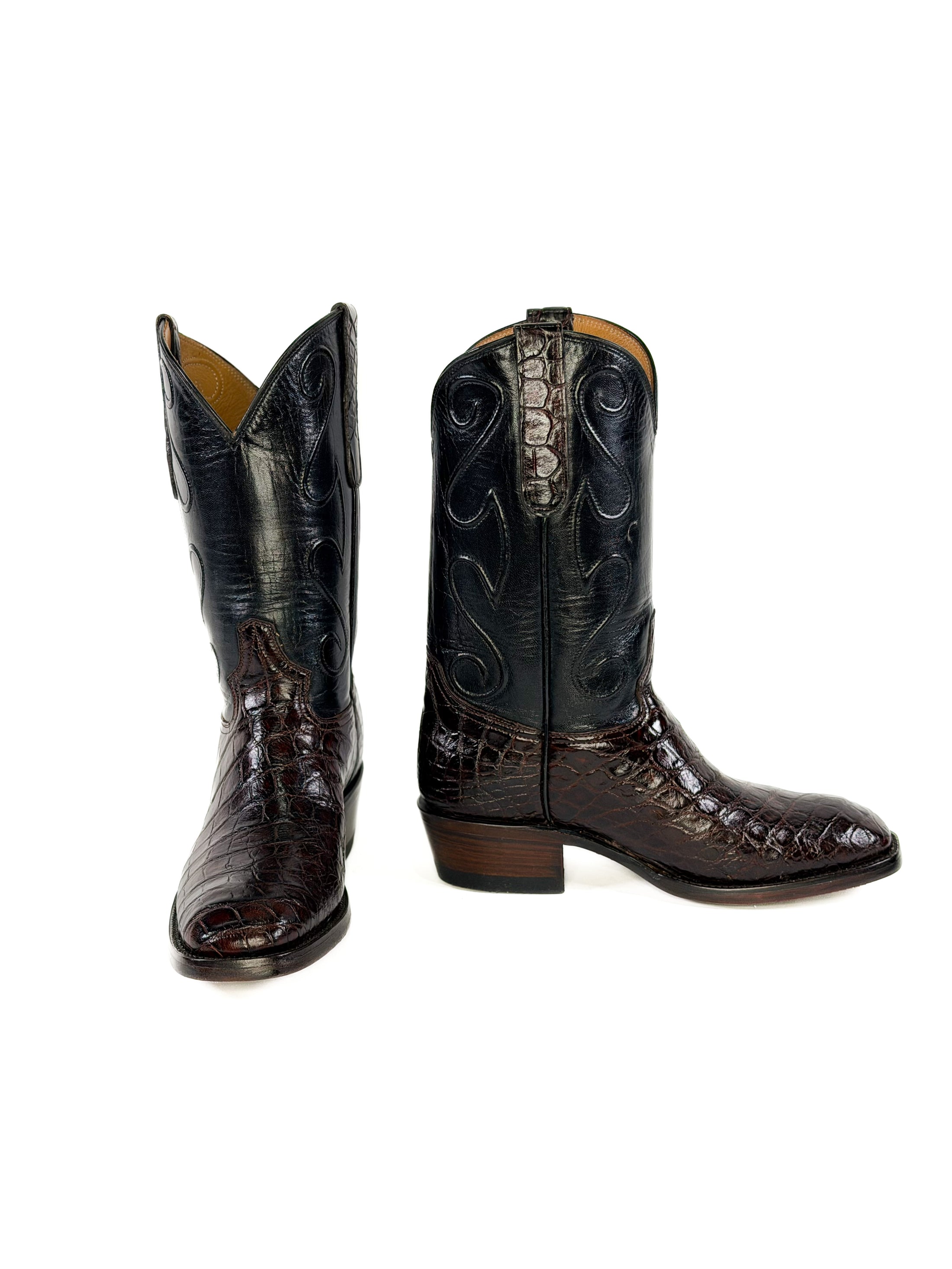 American Alligator- Sportsrust Cord