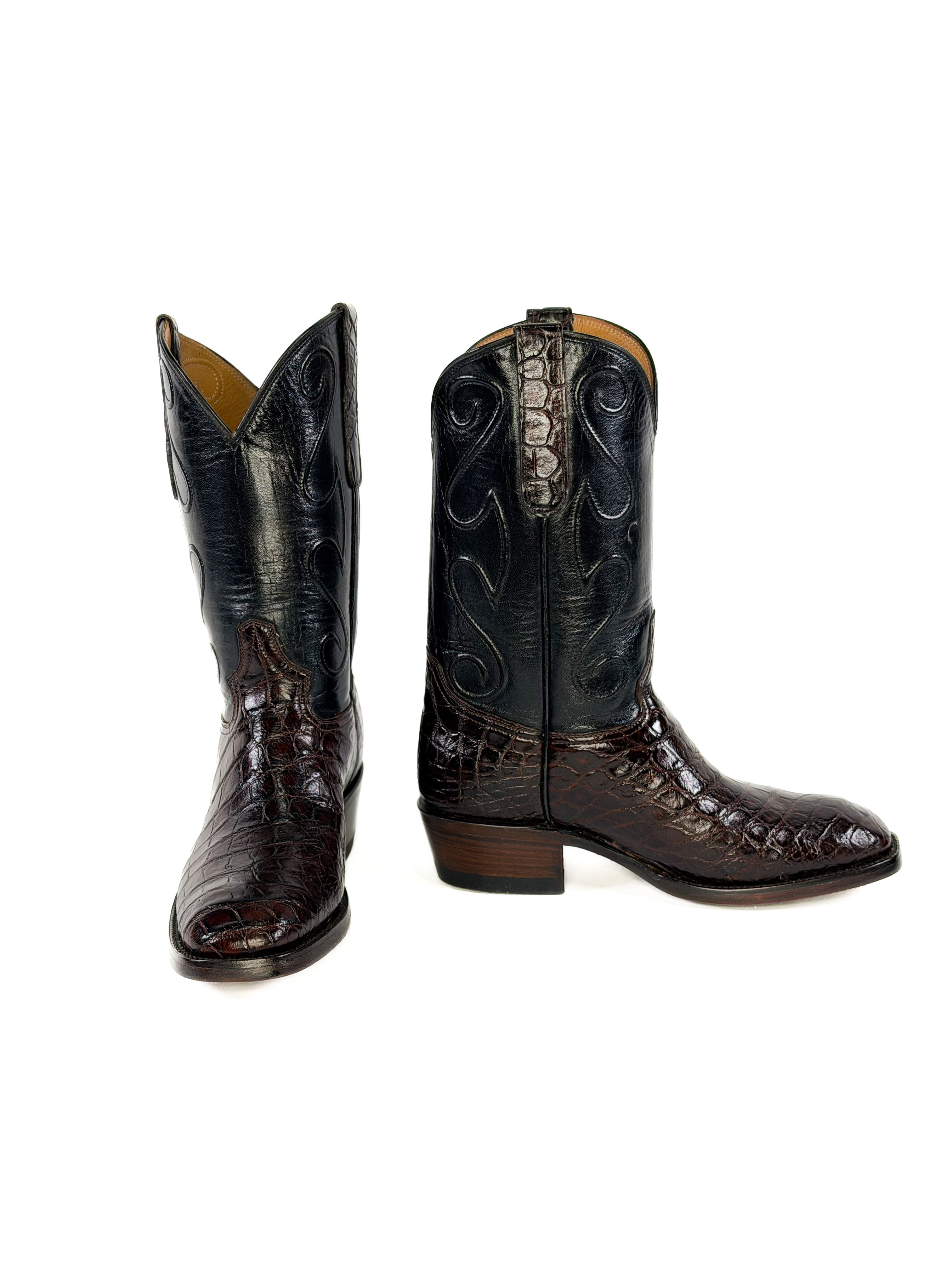 American Alligator- Sportsrust Cord