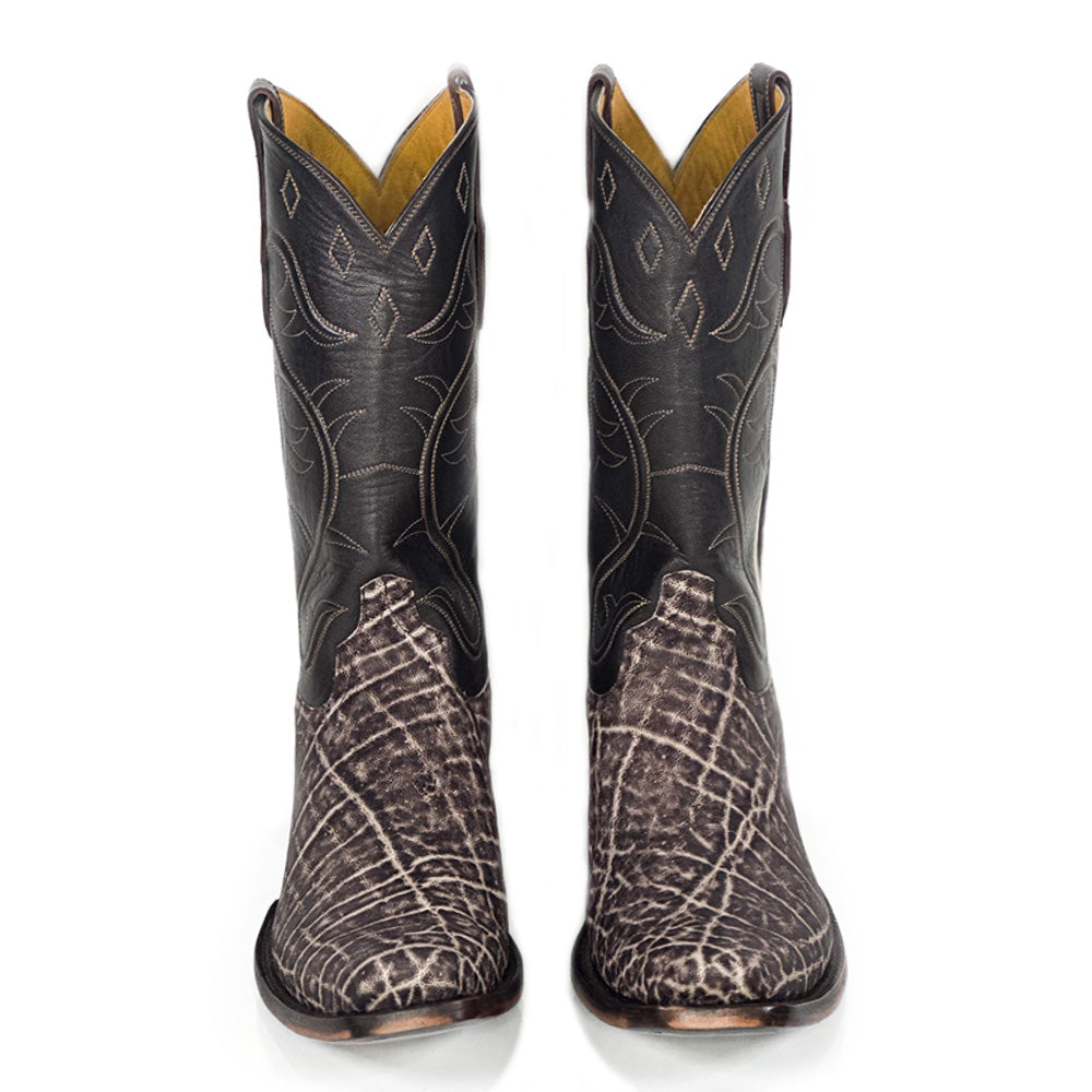 Maximus Elephas Boot